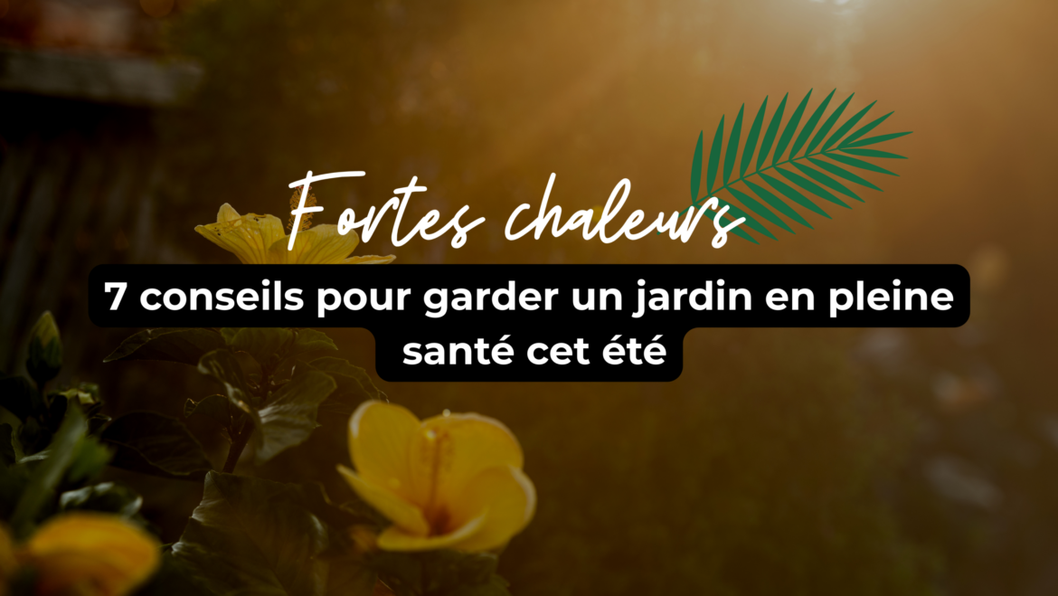 Fortes chaleurs : 7 conseils pour garder un jardin en pleine santé cet été