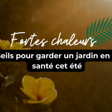 Fortes chaleurs : 7 conseils pour garder un jardin en pleine santé cet été