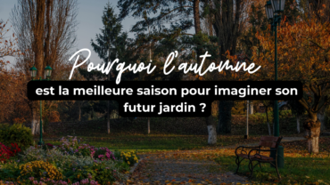 Pourquoi l’automne est la meilleure saison pour imaginer son futur jardin