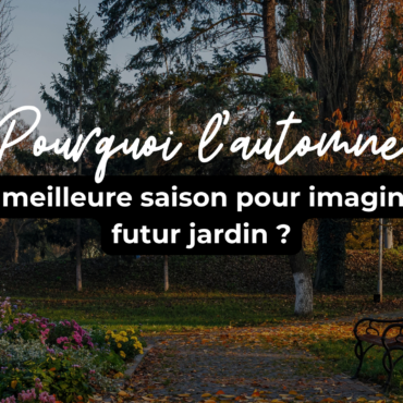 Pourquoi l’automne est la meilleure saison pour imaginer son futur jardin